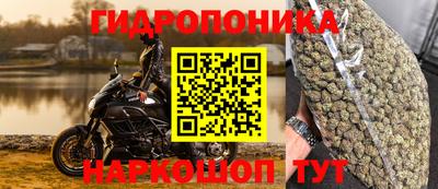 марихуана Ставрополь