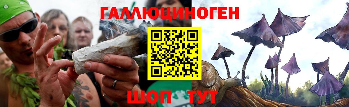 Галлюциногенные грибы Magic Shrooms Нарткала
